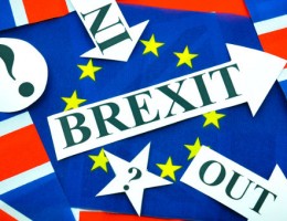 Business owners not swayed by politicians views on brexit